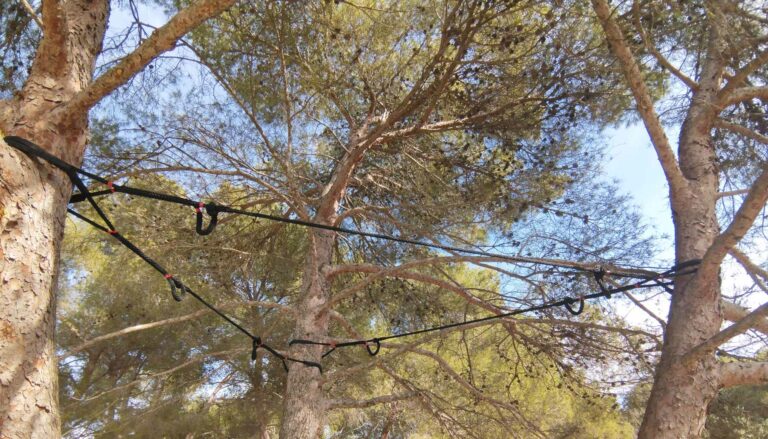 Mise en sécurité des arbres du camping de Pertuis