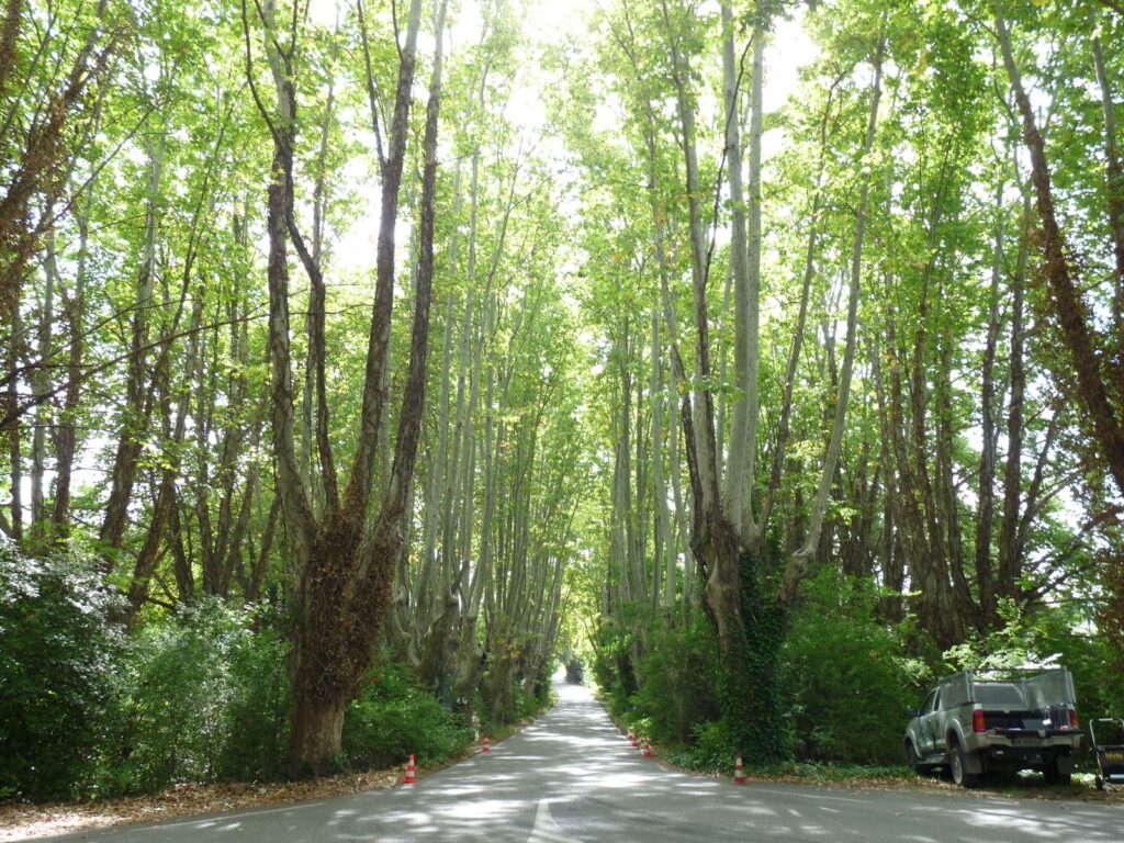 D37 la motte d'aigues